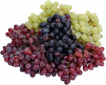 photo - grapes-jpg